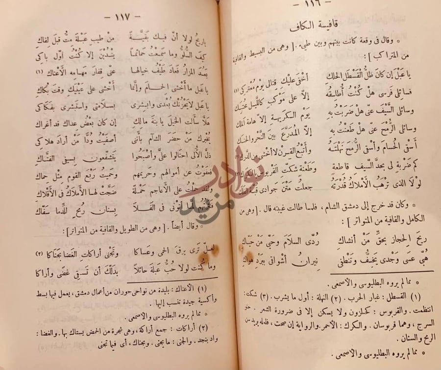 صفحة داخلية كتاب شرح ديوان عنترة بن شداد قافية الكاف