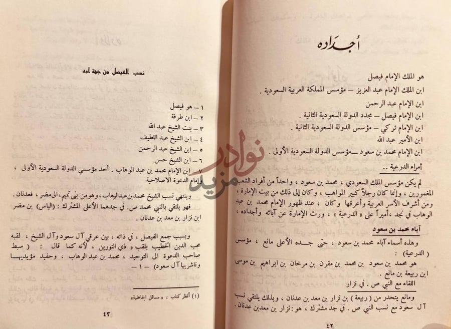 فصل كتاب تاريخ مملكة في سيرة زعيم فيصل ملك المملكة العربية