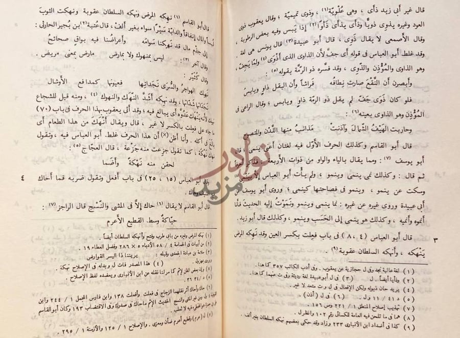صفحة داخلية كتاب المنقوص والممدود للفراء والتنبيهات