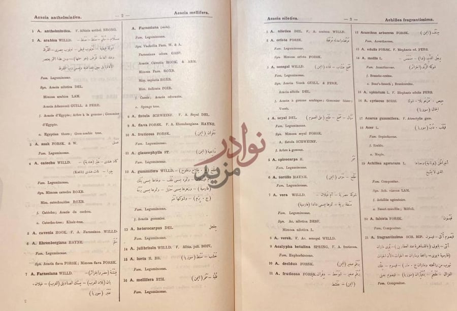 صفحة داخلية كتاب معجم اسماء النبات