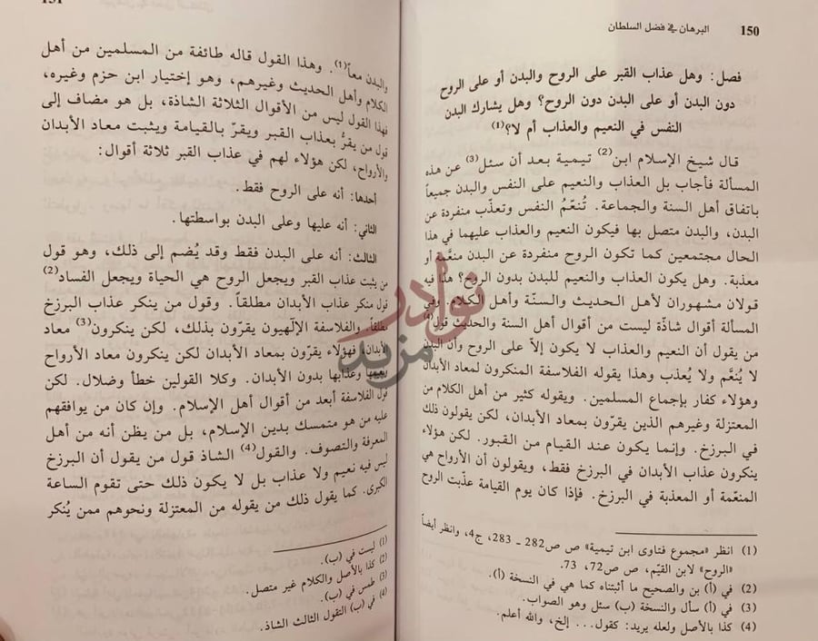 صفحة داخلية كتاب البرهان في فضل السلطان