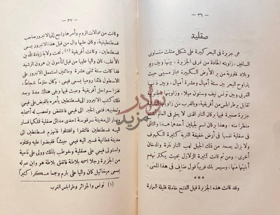 صفحة داخلية كتاب حضارة العرب في الاندلس صقلية