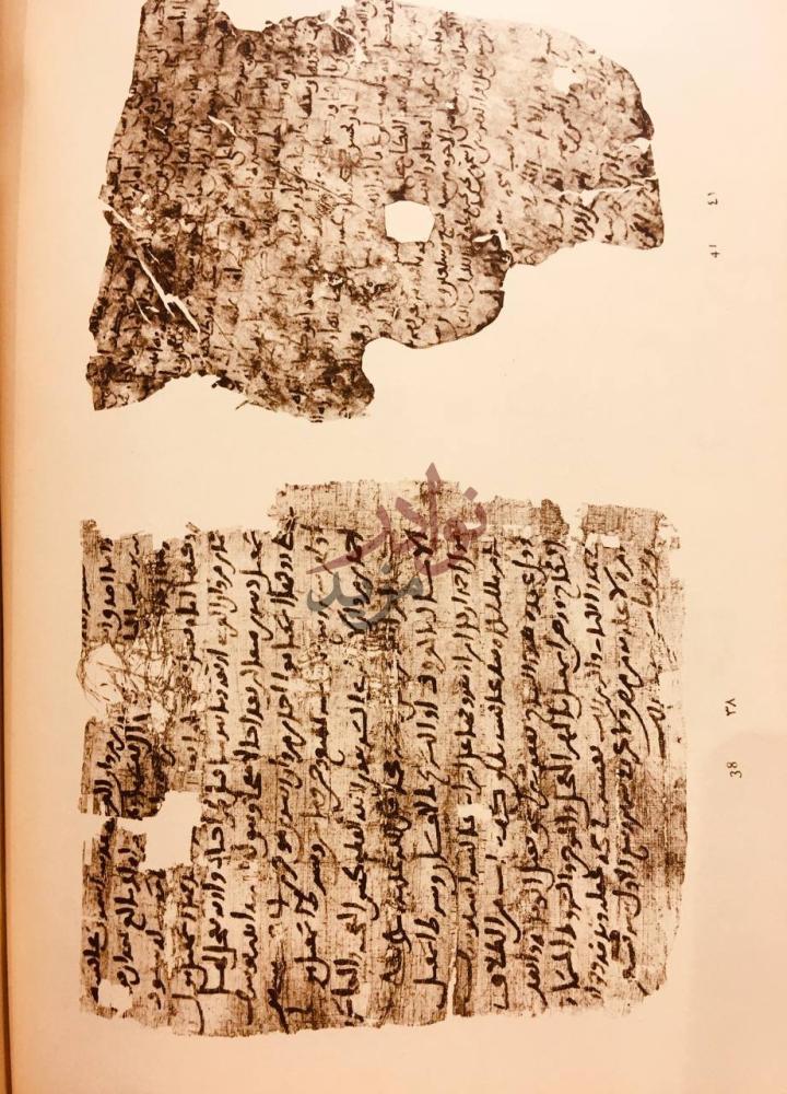 صفحة داخلية كتاب البرديات العربية اثار