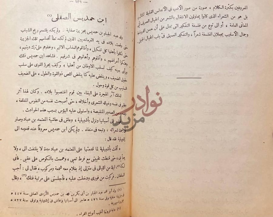 صفحة داخلية كتاب بلاغة العرب في الاندلس ابن حمديس الصقلي