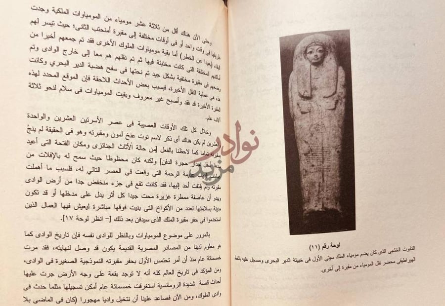 صفحة داخلية كتاب اكتشاف مقبرة توت عنخ امون