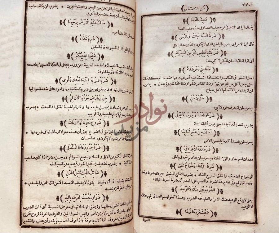 صفحة داخلية كتاب مجمع الامثال من الأمثال