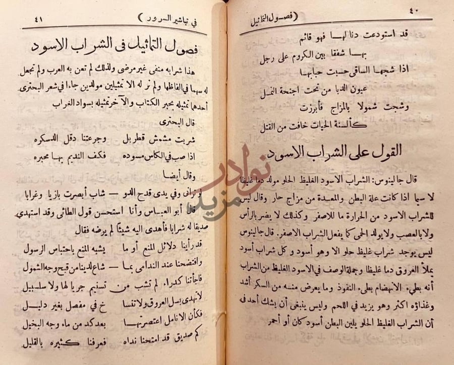 صفحة داخلية كتاب فصول التماثيل في تباشير السرور