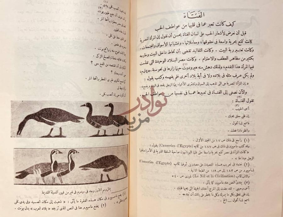 صفحة داخلية كتاب التاريخ المصري القديم الفتاة
