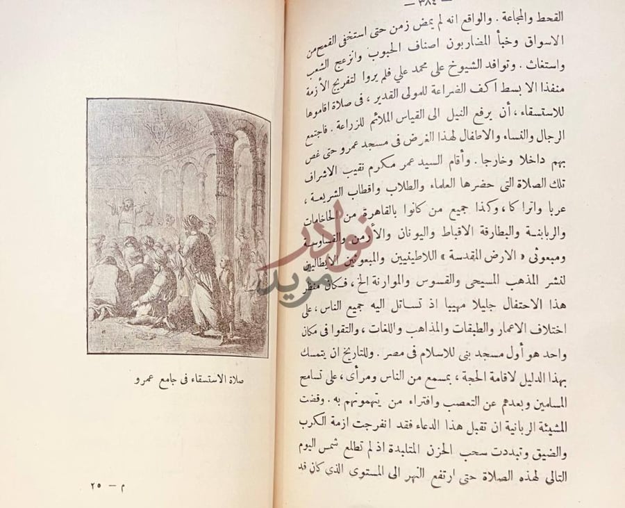 صفحة داخلية كتاب مصر في القرن التاسع عشر عصر محمدعلي