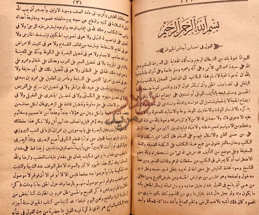 فصل كتاب الحيوان باب القول في احساس