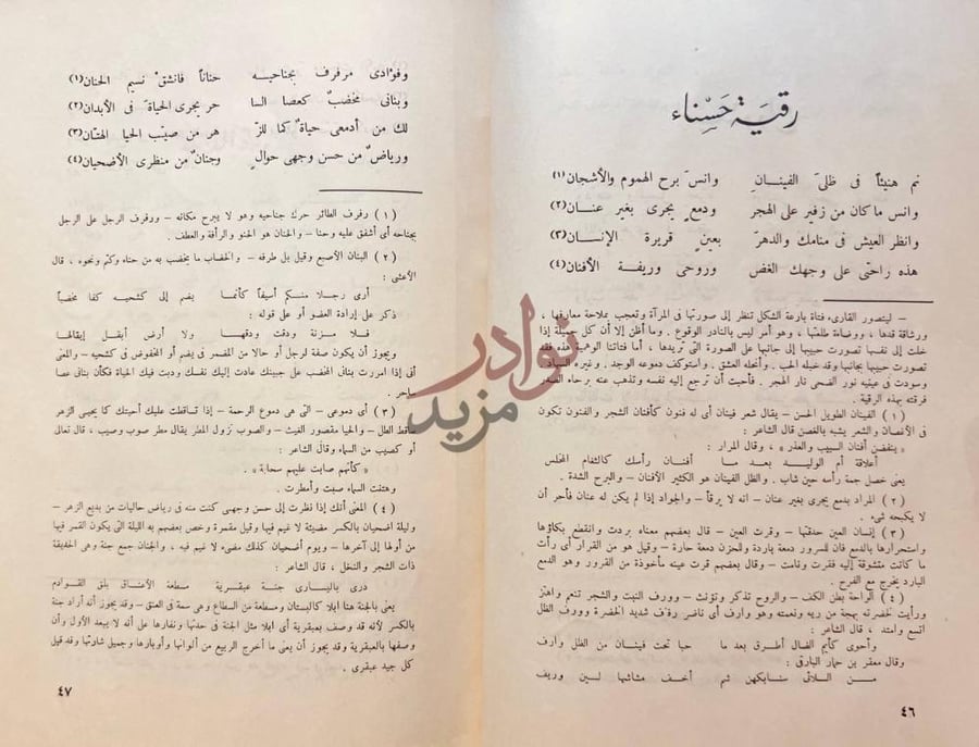 صفحة داخلية كتاب ديوان المازنى رقية حسناء
