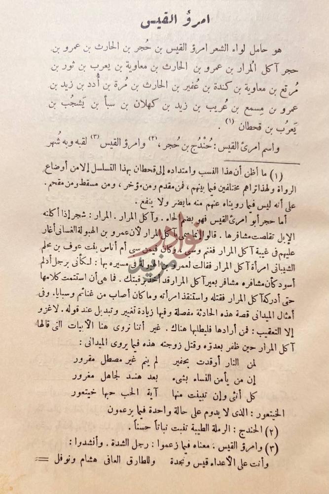 صفحة داخلية كتاب ديوان امرئ القيس امرؤ القيس