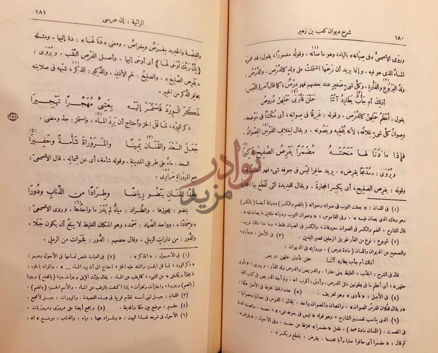 صفحة داخلية كتاب شرح ديوان كعب بن زهير شرح ديوان كعب بن