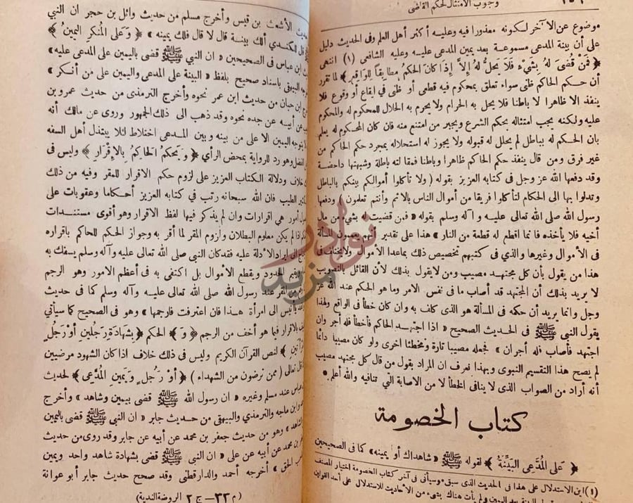 صفحة داخلية كتاب الروضة الندية شرح الدرر البهية