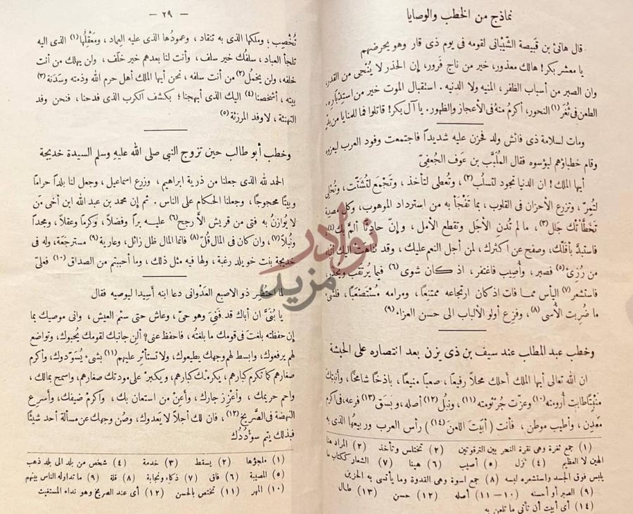 صفحة داخلية كتاب الوسيط في الادب العربي وتاريخه