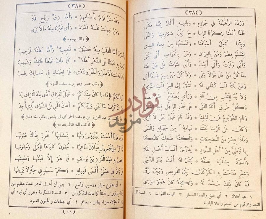 صفحة داخلية كتاب ديوان المتنبي