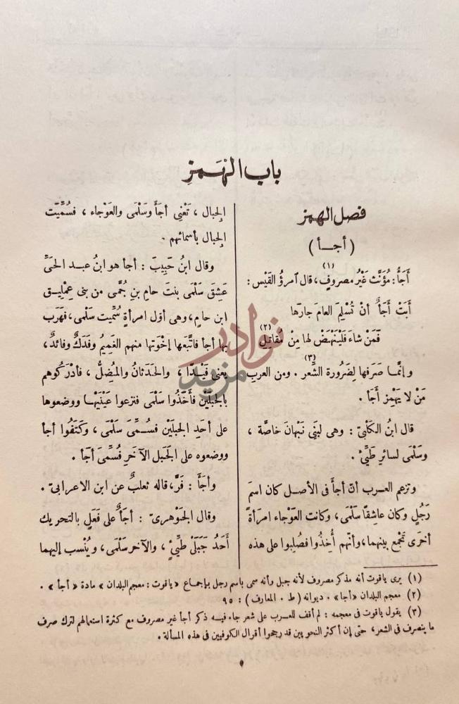 صفحة داخلية كتاب التكملة والذيل والصلة باب الهمزة
