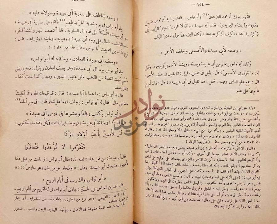 صفحة داخلية كتاب اخبار ابي نواس تاريخه نوادره شعره مجونه