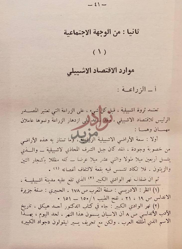 فصل كتاب الشعر في ظل بني عباد اركان ثانيا من الوجهة