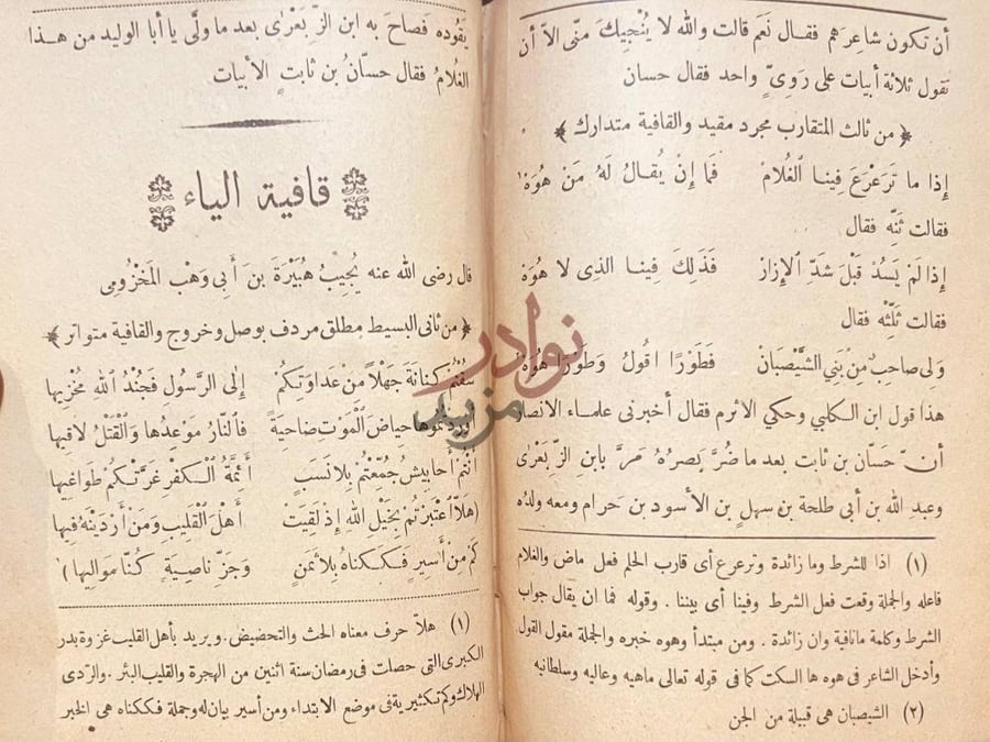 صفحة داخلية كتاب ديوان حسان بن ثابت الانصاري قافية الياء