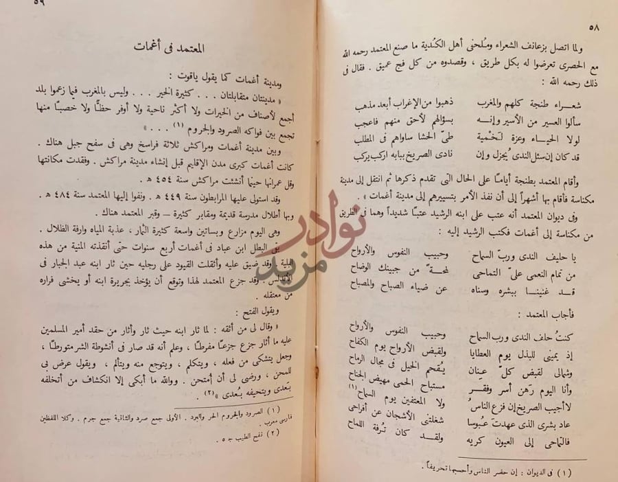 صفحة داخلية كتاب المعتمد بن عباد الملك الجواد الشجاع الشاعر