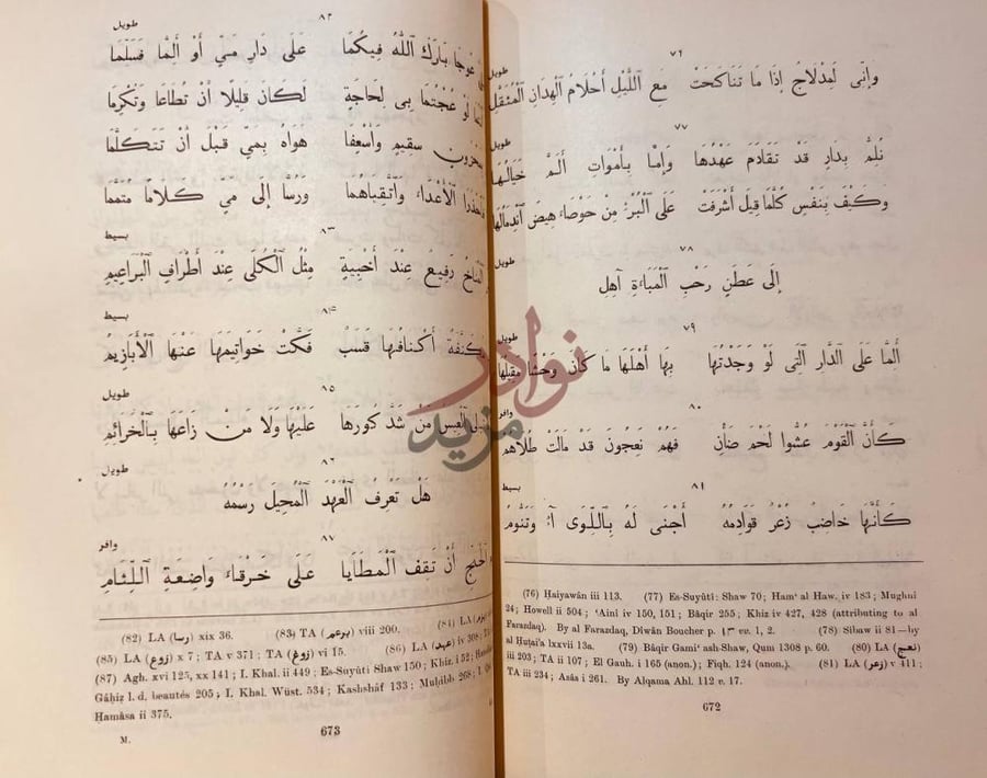 صفحة داخلية كتاب ديوان شعر ذي الرمة نص شعري مشروح