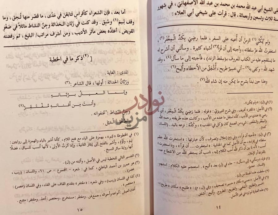 صفحة داخلية كتاب سقط الزند وضوءه ذكر ما في الخطبة