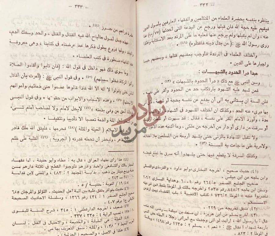 صفحة داخلية كتاب نصيحة الملوك مبدأ درأ الحدود