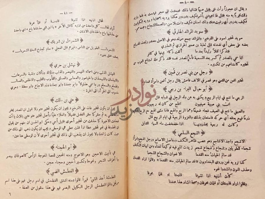 صفحة داخلية كتاب المبهج في تفسير اسماء شعراء ديوان الحماسة