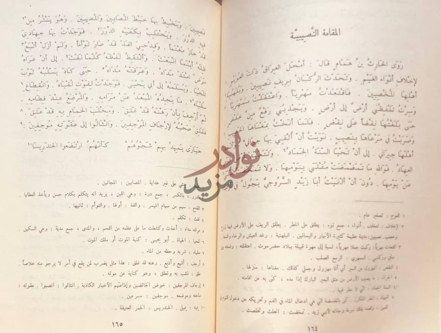 صفحة داخلية كتاب مقامات الحريري المقامة الن صيبية