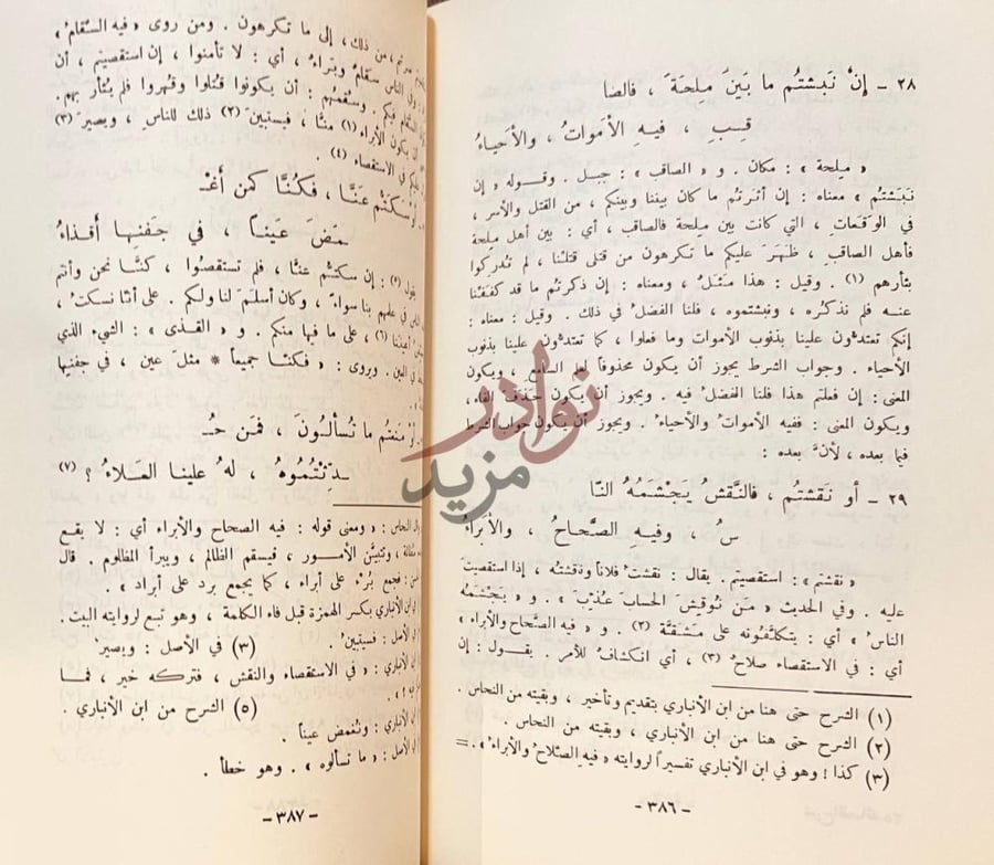 صفحة داخلية كتاب شرح القصائد العشر