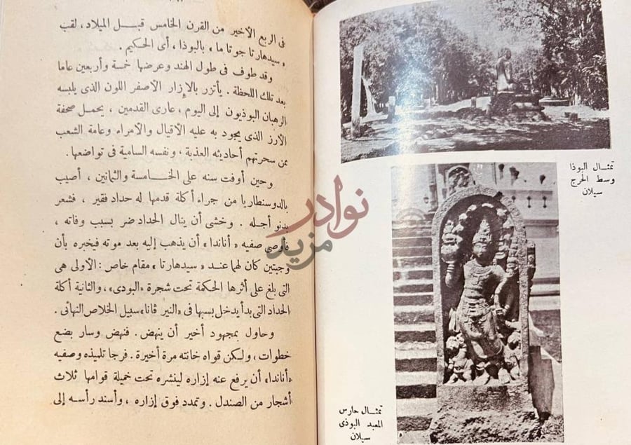 صفحة داخلية كتاب سندباد عصرى نص عن سدهارتا غوتاما