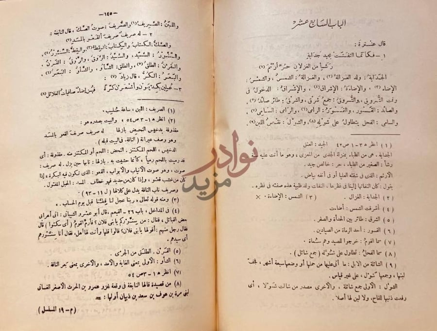صفحة داخلية كتاب المسلسل في غريب لغة العرب الباب السادس عشر