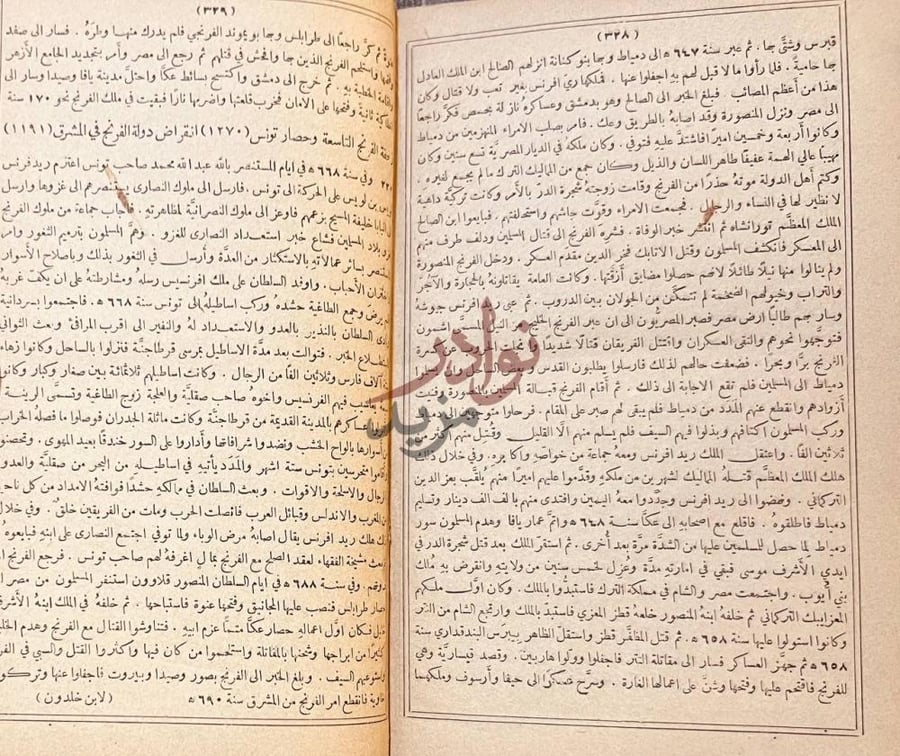صفحة داخلية كتاب مجاني الادب في حدائق العرب