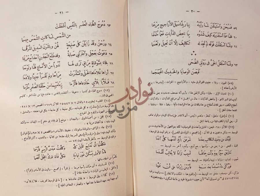 صفحة داخلية كتاب شرح ديوان كعب بن زهير دمج الطبائع العفر