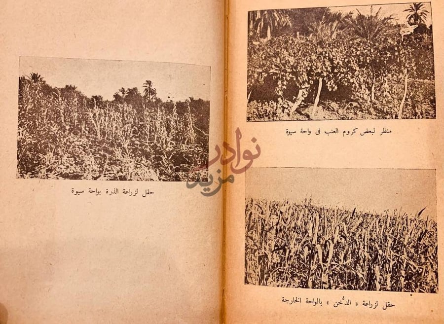 صفحة داخلية كتاب محاضرات في سبيل التعمير الصحراء الغربية