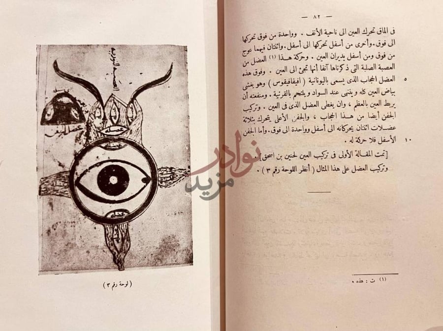 صفحة داخلية كتاب العشر مقالات في العين لوحة رقم