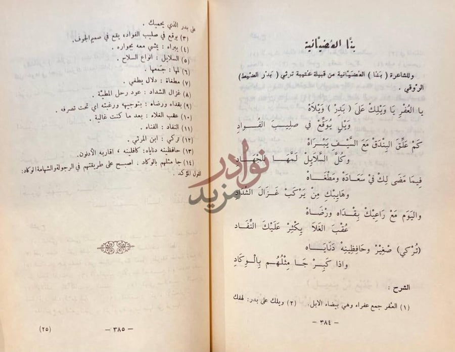 صفحة داخلية كتاب شاعرات من البادية بنا الضيانية