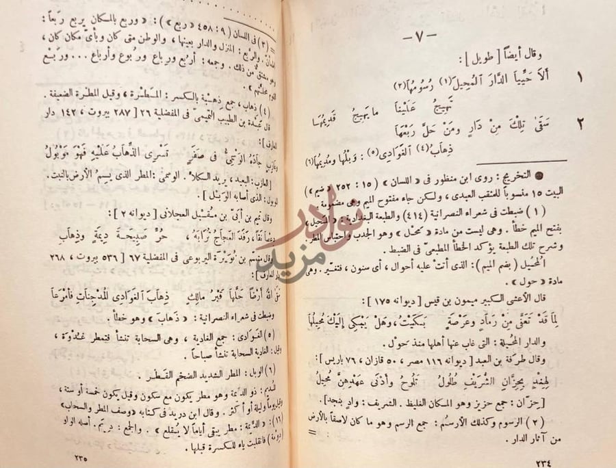 صفحة داخلية كتاب ديوان المثقب العبدي