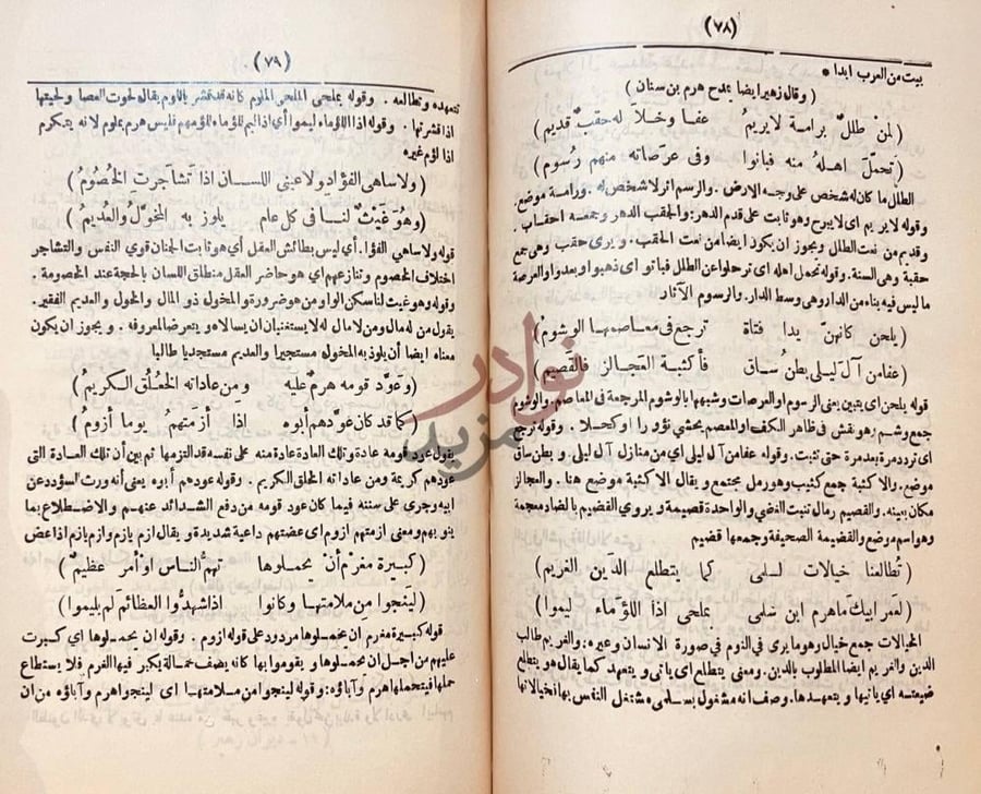 صفحة داخلية كتاب ديوان زهير بن ابي سلمي