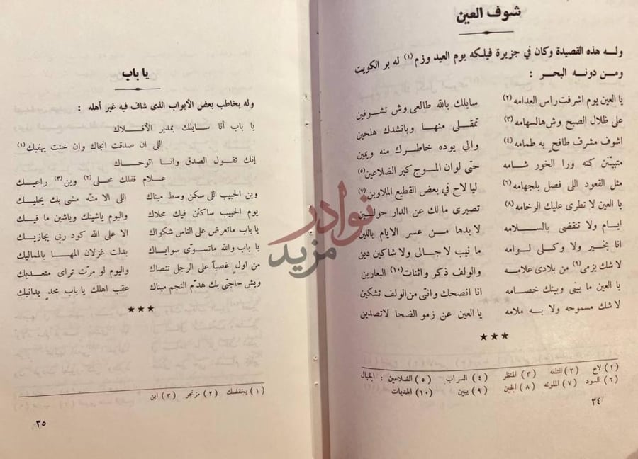 صفحة داخلية كتاب ديوان الشاعر مرشد البزالي شوف العين