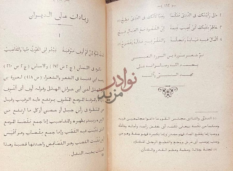 صفحة داخلية كتاب شرح ديوان عروة بن الورد العبسي