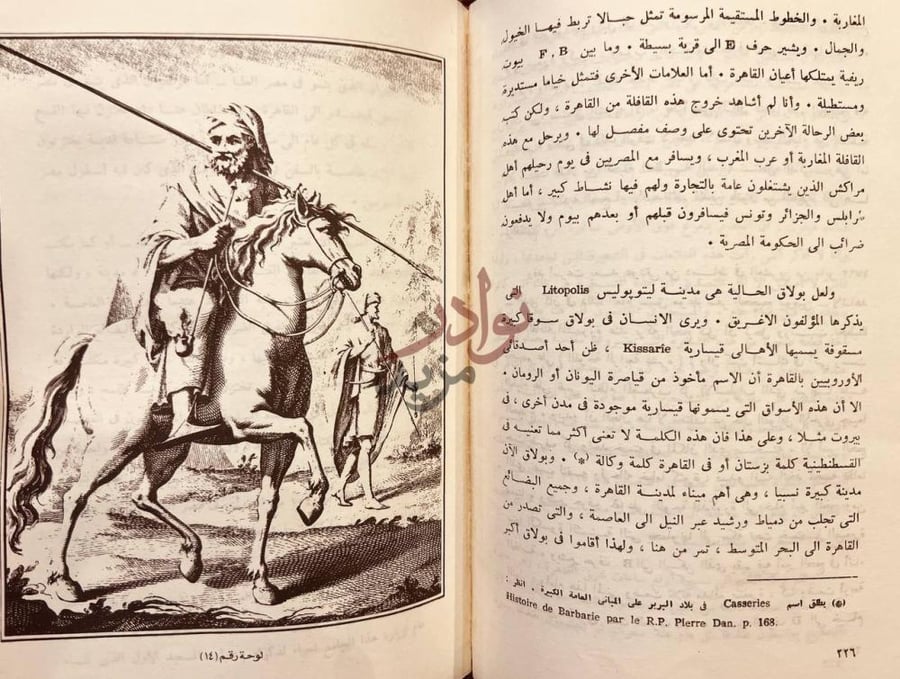 صفحة داخلية كتاب رحلة إلى مصر ج لوحة رقم