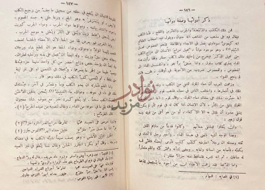 صفحة داخلية كتاب البيزرة ذكر أدوائها وصفة