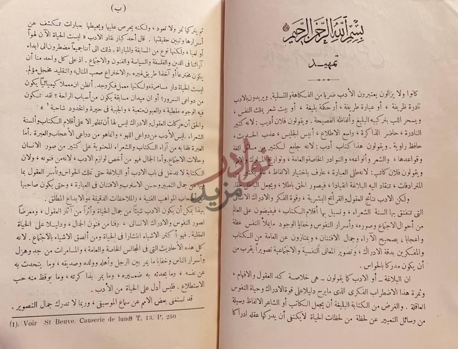 مقدمة كتاب بلاغة العرب في الاندلس تمهيد