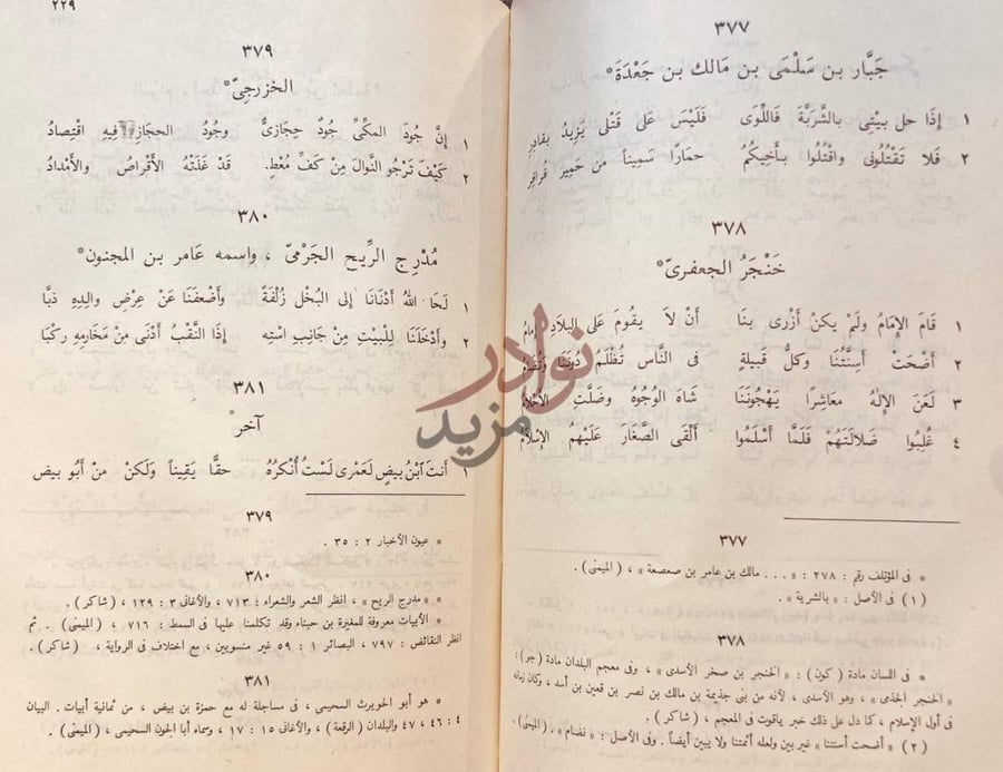 صفحة داخلية كتاب الوحشيات وهو الحماسة الصغرى