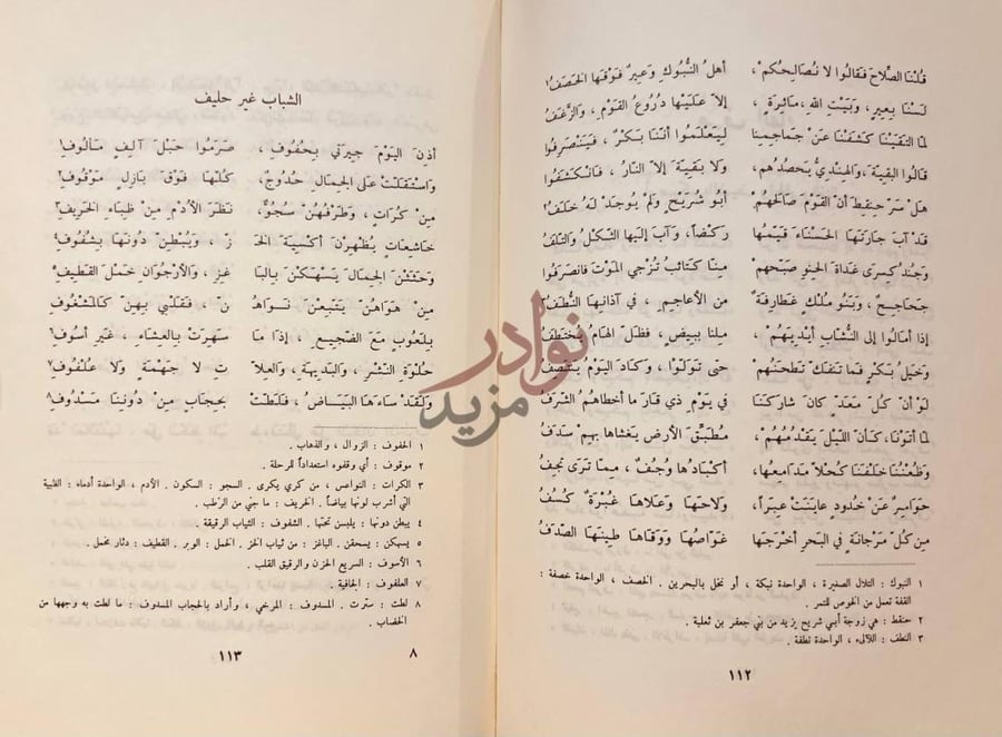 صفحة داخلية كتاب ديوان الاعشى الشباب غير حليف