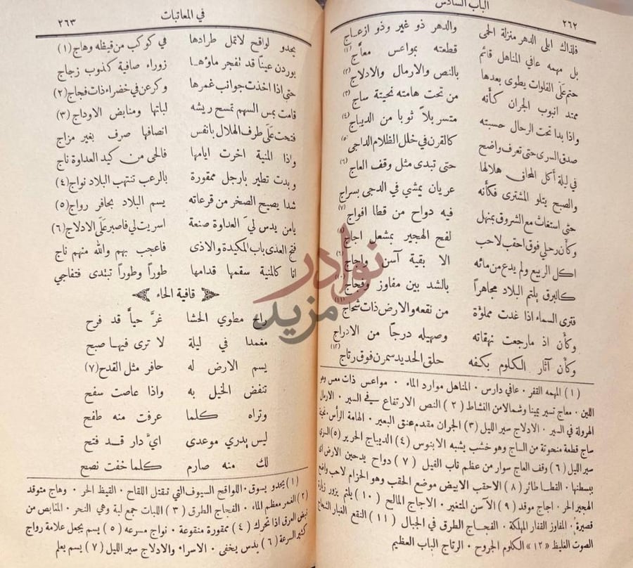 صفحة داخلية كتاب ديوان عبدالله بن المعتز الباب السادس