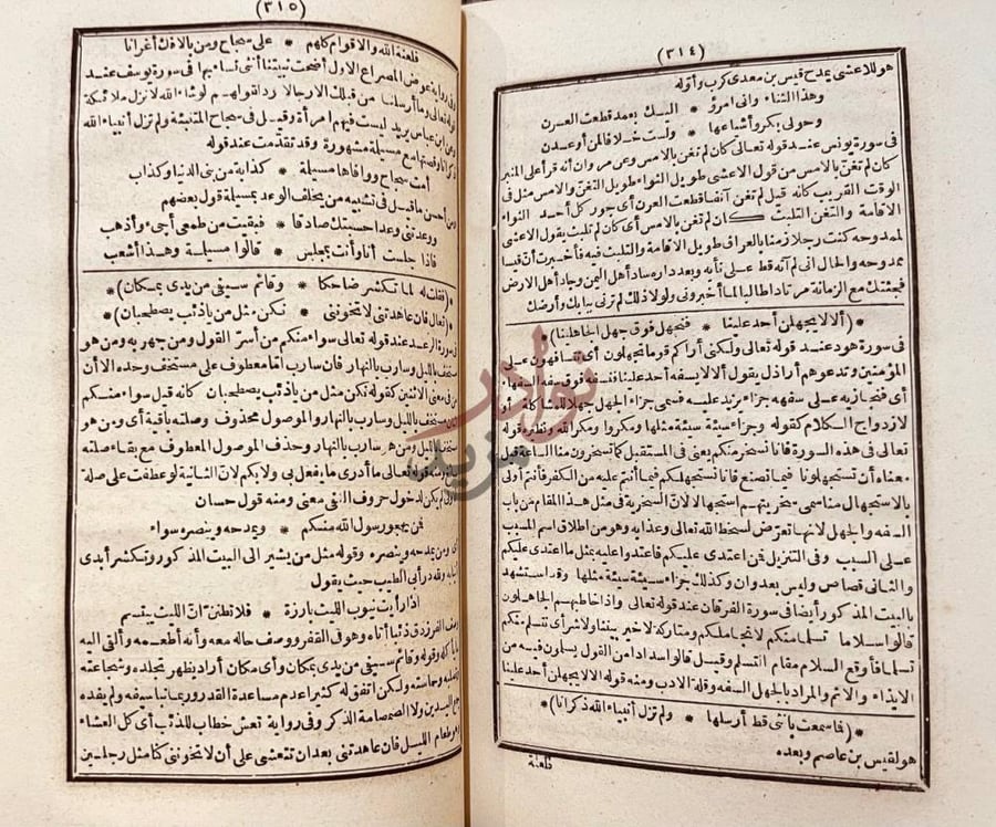 صفحة داخلية كتاب تنزيل الايات على الشواهد من الابيات شرح