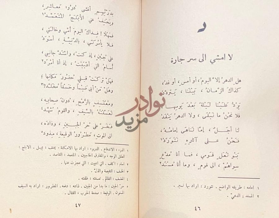 صفحة داخلية كتاب ديوان حاتم الطائي د